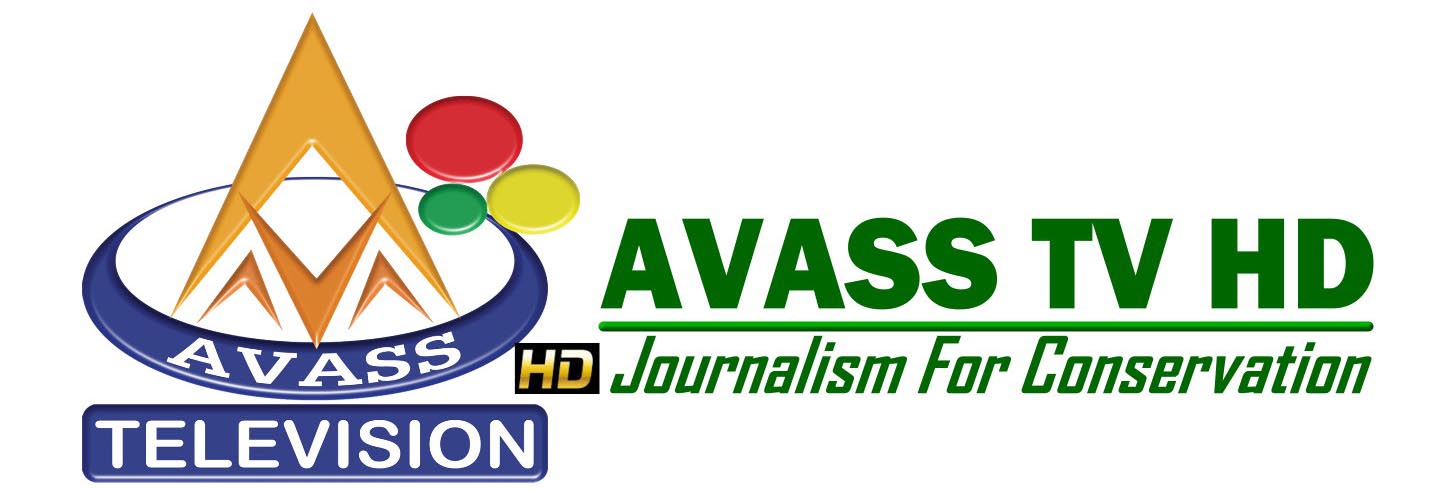 Avass Television HD